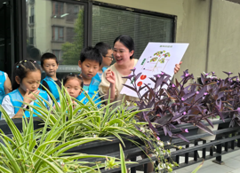 【向恒•德育】手植书香 共筑绿梦——记石湖中学阅读进社区之科普种植活动